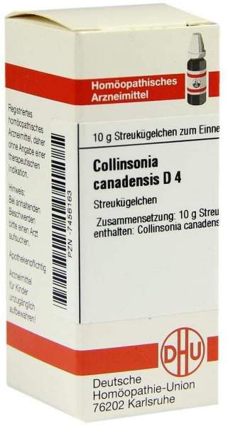 Collinsonia Canadensis D 4 Globuli