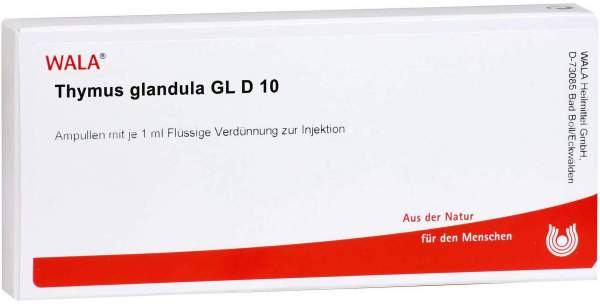 Thymus Glandula Gl D 10 Ampullen