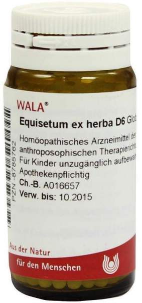 Wala Equisetum ex herba D6 Wala 20 g Globuli