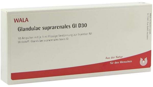 Glandulae Suprarenales Gl D 30 Ampullen 10 X 1 ml