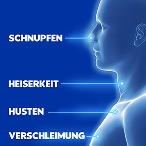 Man sieht von der Seite eine Silhouette eines Mannes von Kopf bis zum Ansatz des Oberkörpers. Auf Höhe der Nase steht Schnupfen, auf Höhe des Halses steht Heiserkeit, auf der Höhe des Rachens steht Verschleimung, auf Höhe der Brust steht Husten.