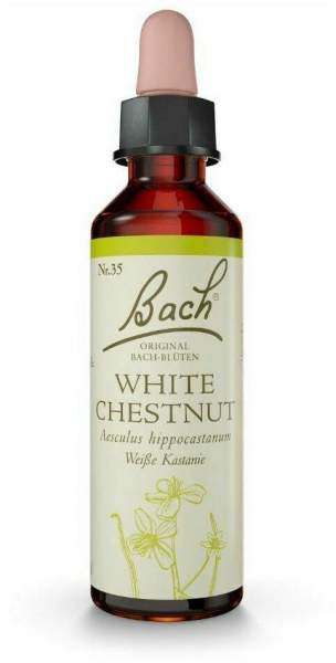 Original Bach-Blüte White Chestnut Tropfen 10 ml
