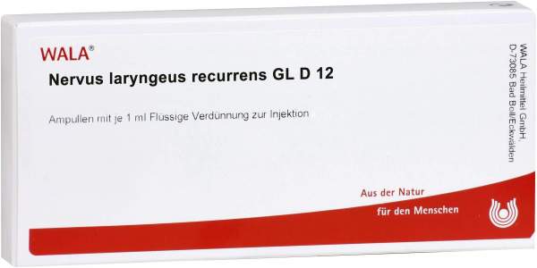 Nervus Laryngeus Recurrens Gl D 12 10 X 1 ml Ampullen