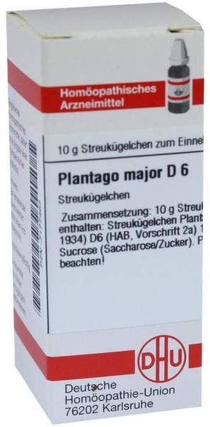 Dhu Plantago Major D6 Globuli
