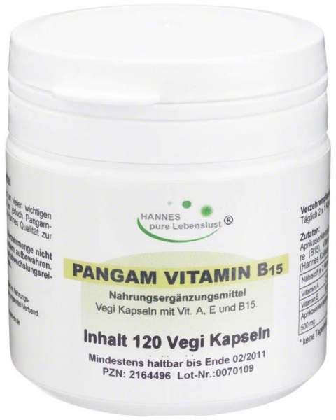 Pangam Vitamin B15 120 Kapseln