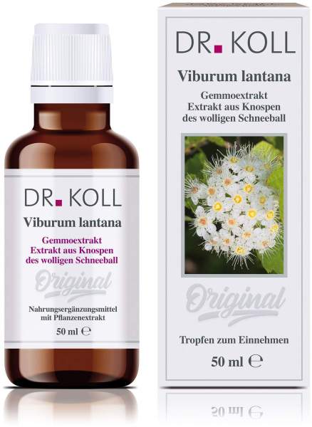 Gemmoextrakt Wolliger Schneeball 50 ml