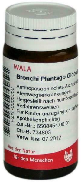 Wala Bronchi Plantago Velati 20 G Globuli