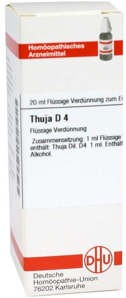 zimmerpflanze grün Pflanzenset 6 Zimmerpflanzen Ø6cm Grün online kaufen