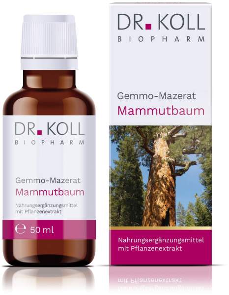 Gemmo Mazerat Kastanie Dr.Koll Castanea Vesca Tropfen 50 ml
