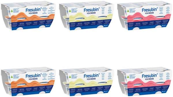 Fresubin Yocreme Mischkarton 24x125 G