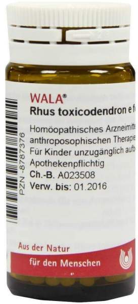 Wala Rhus toxicondendron e foliis D6 20 g Globuli