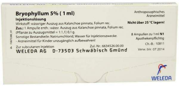 Weleda Bryophyllum 5% 8 X 1 ml Injektionslösung