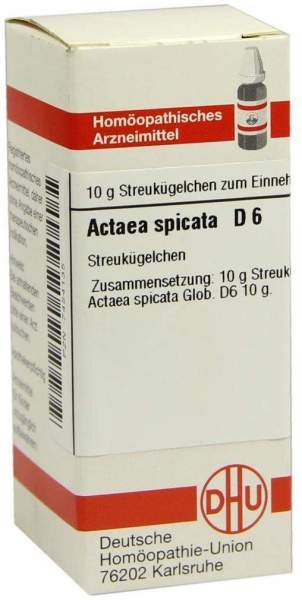Actaea Spicata D6 10 G Globuli