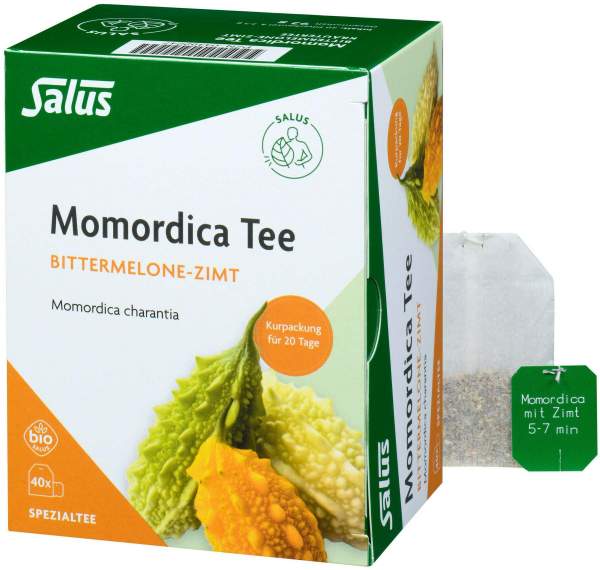 Momordica Mit Zimt 40 X 2,3 G Filterbeutel