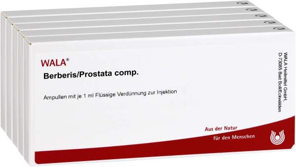 Berberis-Prostata Comp. Ampullen 50 X 1 ml