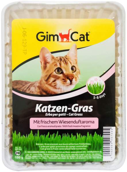 Gimpet Katzen Gras