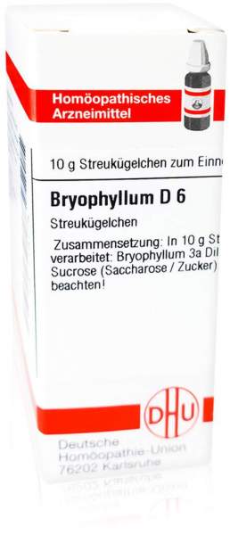 Bryophyllum D 6 Globuli