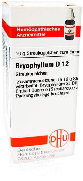 Dhu Bryophyllum D12 10 G Globuli