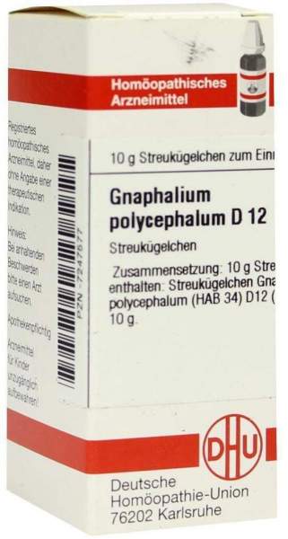 Gnaphalium Polyceph. D 12 Globuli
