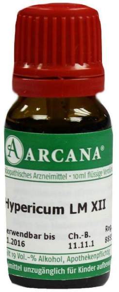Hypericum Arcana Lm 12 Dilution 10 ml Tropfen