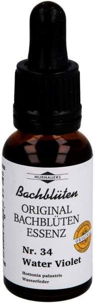 Bachblueten Murnauer Tropfen Water Violet