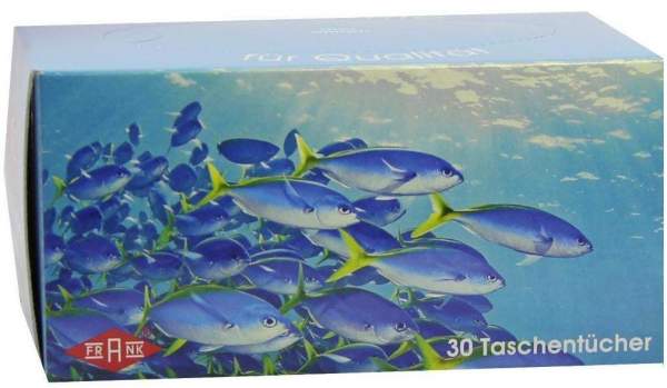 Taschentuchbox 30 Tücher