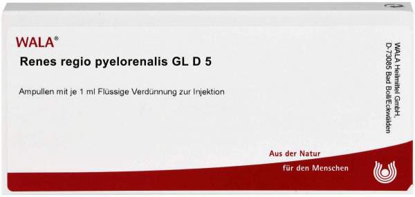 Renes Regio Pyelorenal Gl D 5 Ampullen