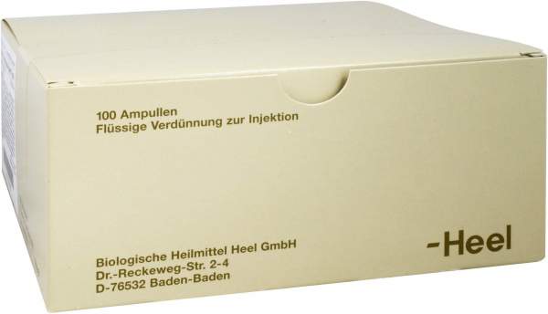 Acidum L(+)lacticum Injeele Forte 1,1 ml 100 Ampullen