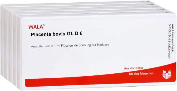 Placenta Bovis Gl D 6 Ampullen
