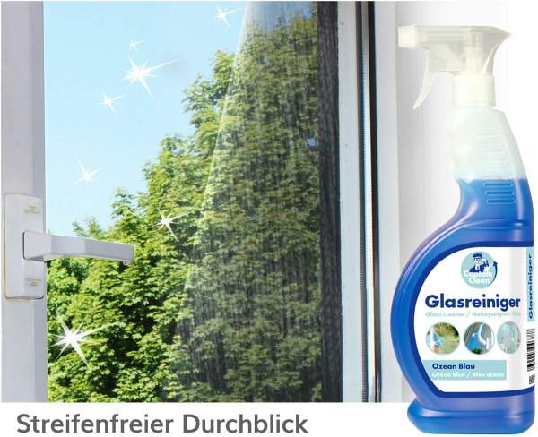 Captain Clean Glasreiniger 650 ml