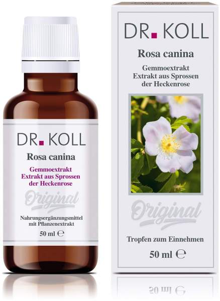Gemmoextrakt Heckenrose Tropfen 50 ml