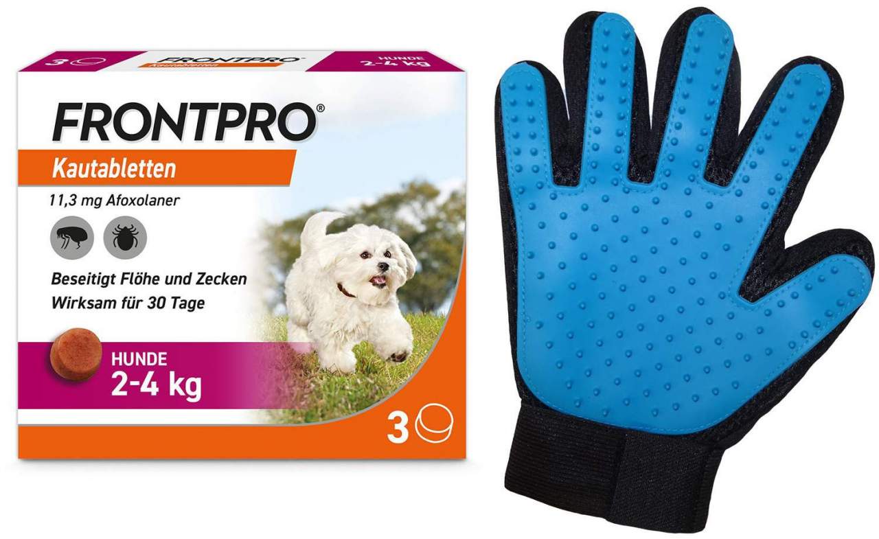 Frontpro 11 mg für Hunde 2 - 4 kg 3 Kautabletten + gratis Fellhandschuh