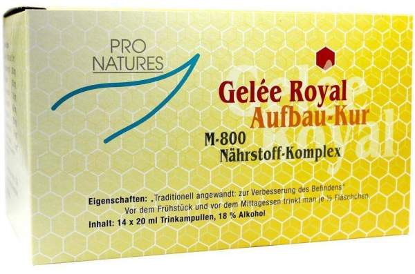 Gelee Royal Aufbaukur M800 14 X 20 G Trinkampullen