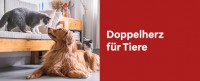  zu Doppelherz Produkten zum Thema Tiergesundheit