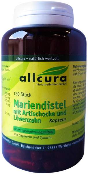Mariendistel Mit Artischocke und Löwenzahn Kaps