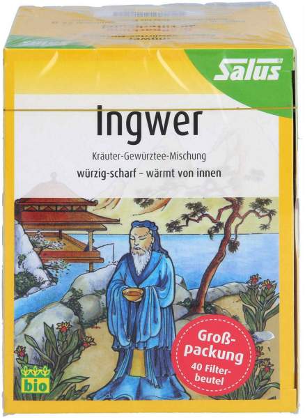 Ingwer Kräuter Gewürztee-Mischung Bio Salus 40 Beutel