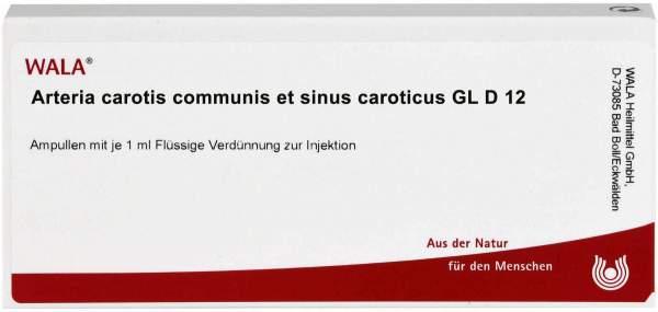 Arteria Carotis Communis Et Sin. Carot. Gl D 12 10 X 1 ml Ampullen