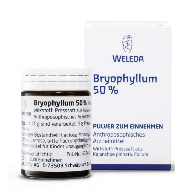Bryophyllum 50% Trituration 50 G Pulver