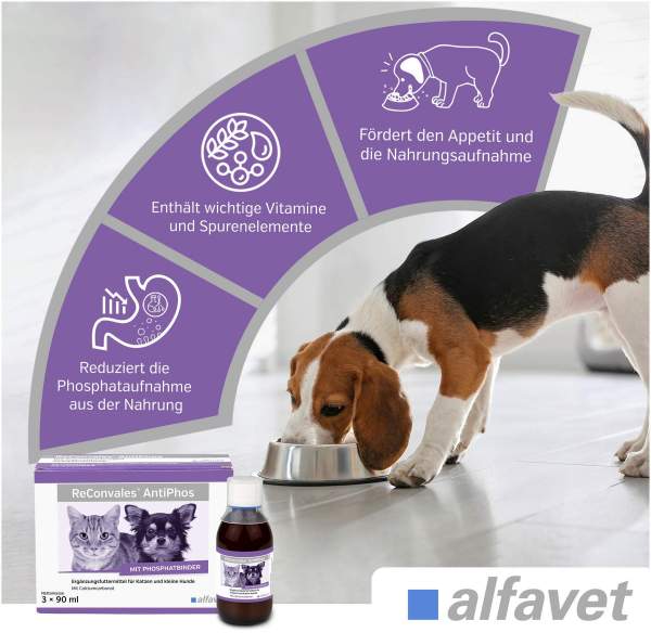 Reconvales Energy Diätergänzungsfuttermittel 180 ml Flüssigkeit für Katzen und kleine Hunde