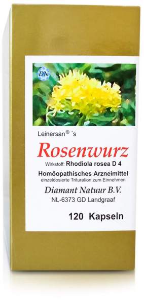 Rosenwurz 120 Kapseln