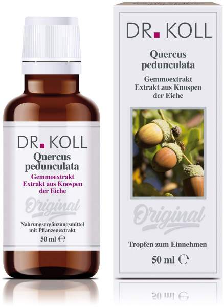 Gemmoextrakt Eiche Tropfen 50 ml