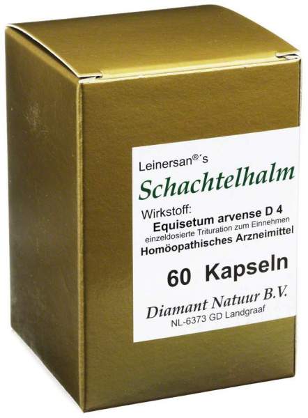 Schachtelhalm Kapseln