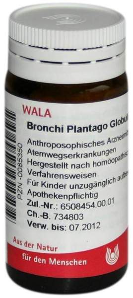Wala Bronchi Plantago Velati 20 g Globuli