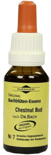 Bachblüten Murnauer Chestnut Bud 20 ml Tropfen