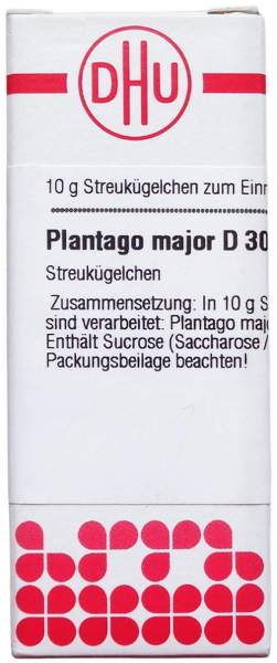 Dhu Plantago Major D30 Globuli 10 G