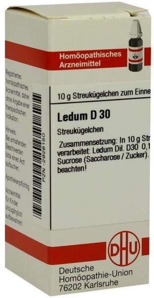 DHU Ledum D30 20 g Globuli