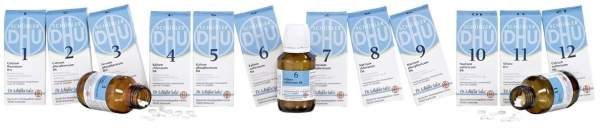 Biochemie DHU Set Basissalze 1-12 80 Tabletten 12 Artikel im Set
