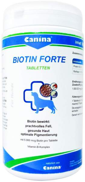 Biotin Forte 700 G Tabletten vet.