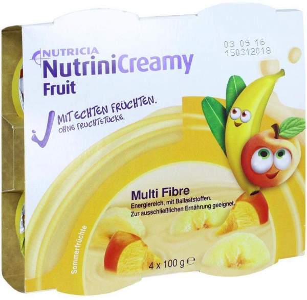 Nutrini Creamy Fruit Sommerfrüchte