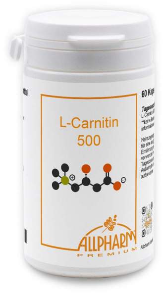 L-Carnitin 500 mg Kapseln